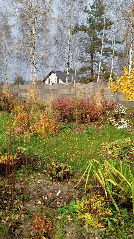 IMG20231104113651