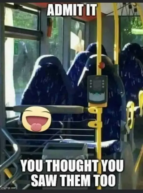 [Image: Bus.webp]