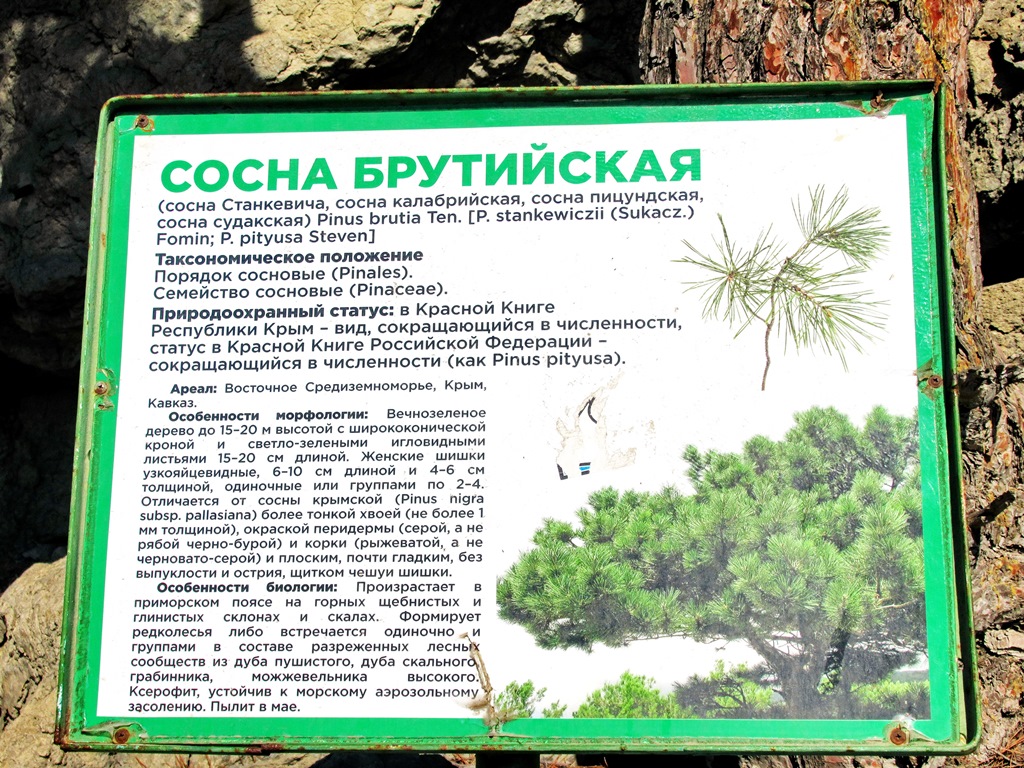 https://i.postimg.cc/Xv5DB32Z/IMG-1474.jpg