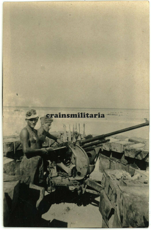 Orig. Foto DAK Soldaten m. Heeresflak Flak Geschütz in Stellung in Afrika1