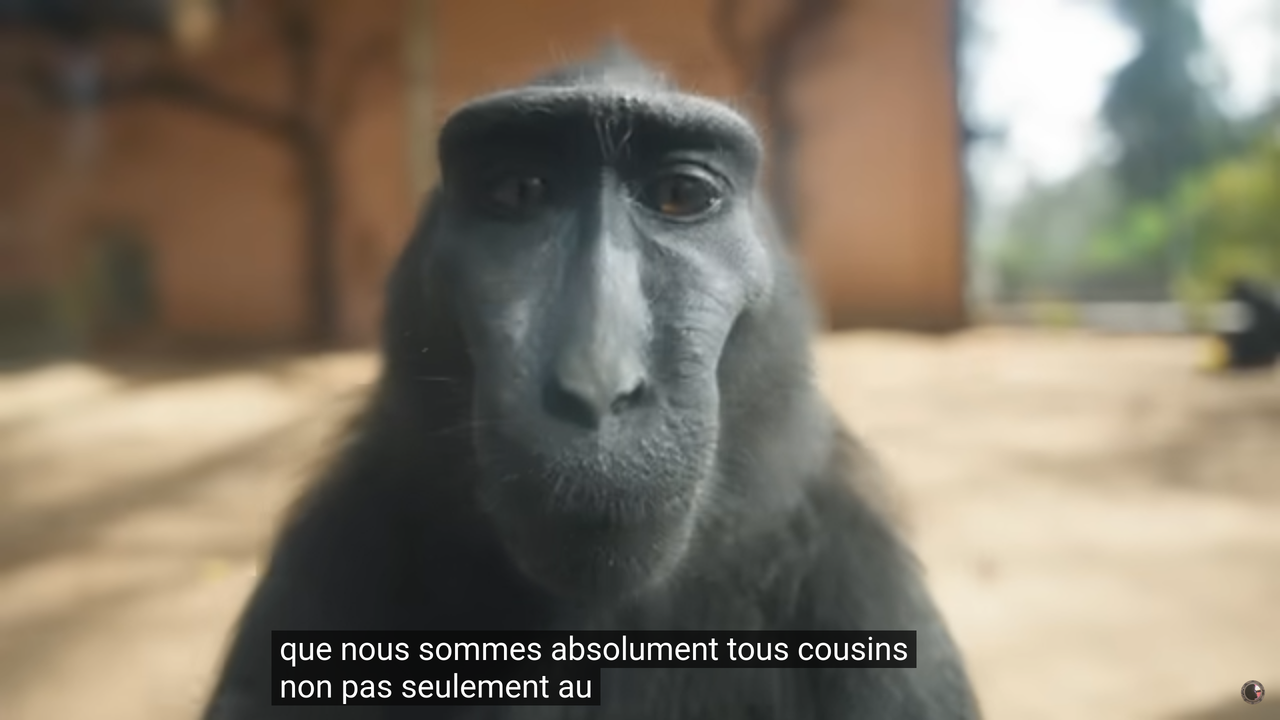 Capture du 2024-12-22 16-42-41