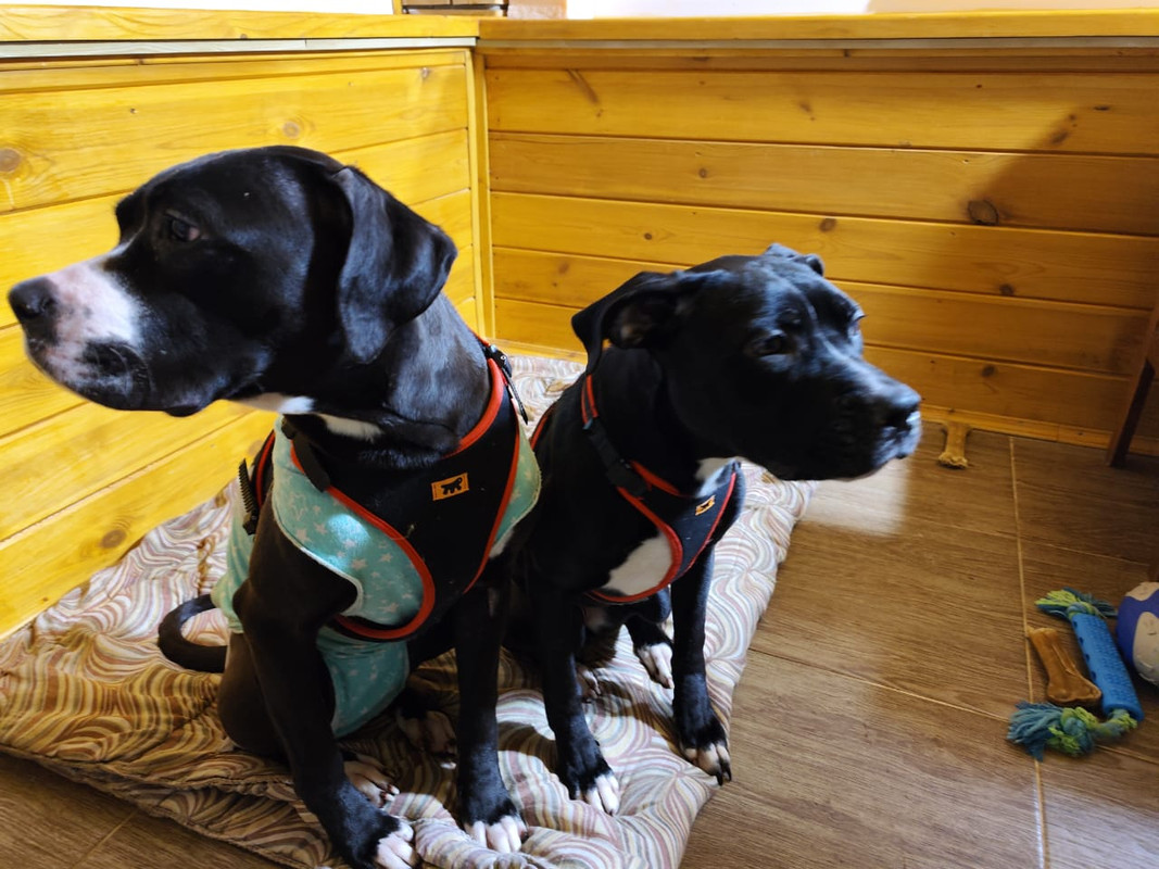 3E23E55C-93BF-42E3-B09E-0554EBE9642E