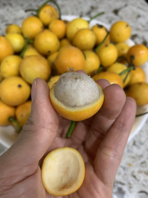 5ACF086F-C221-4E17-8E58-21D0DA9C152D