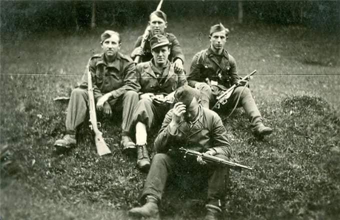 [Слика: 109445871-161660705427886-4361666524907568310-n.jpg]