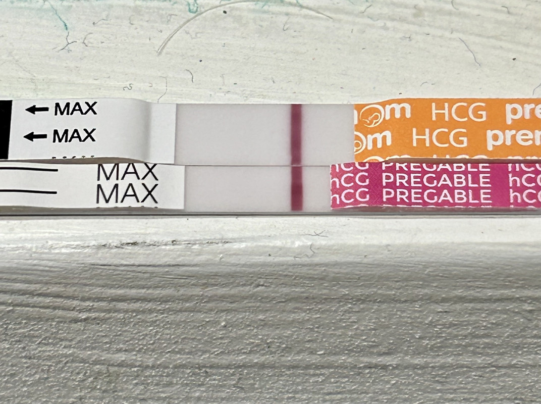 A83254FA-8B29-428A-B577-67A76F8642FD