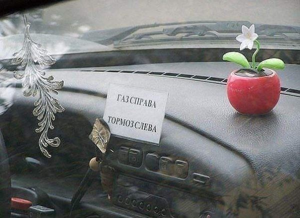 Вождение — точно не их конек: 20 автоледи, которым пришлось непросто