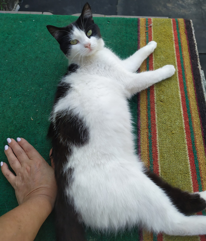 IMG_20210822_161140 (2)