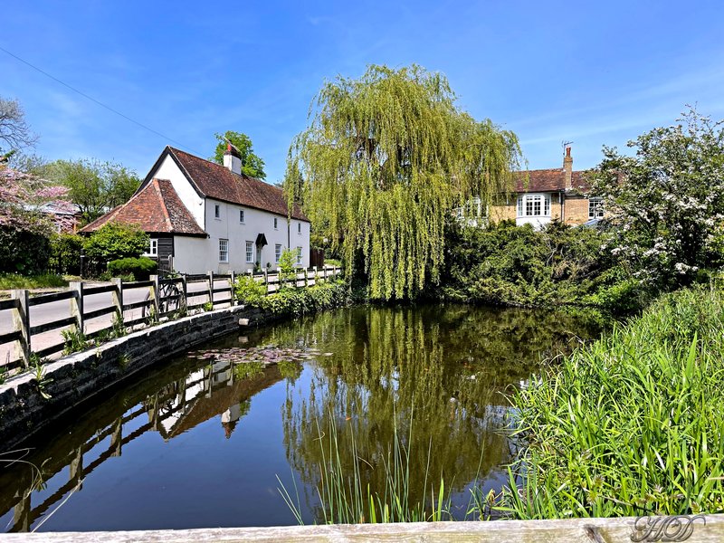 Village-Duck-Pond-HD.jpg