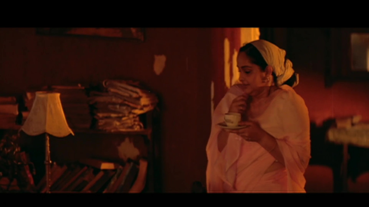 vlcsnap-2021-11-12-21h52m13s209