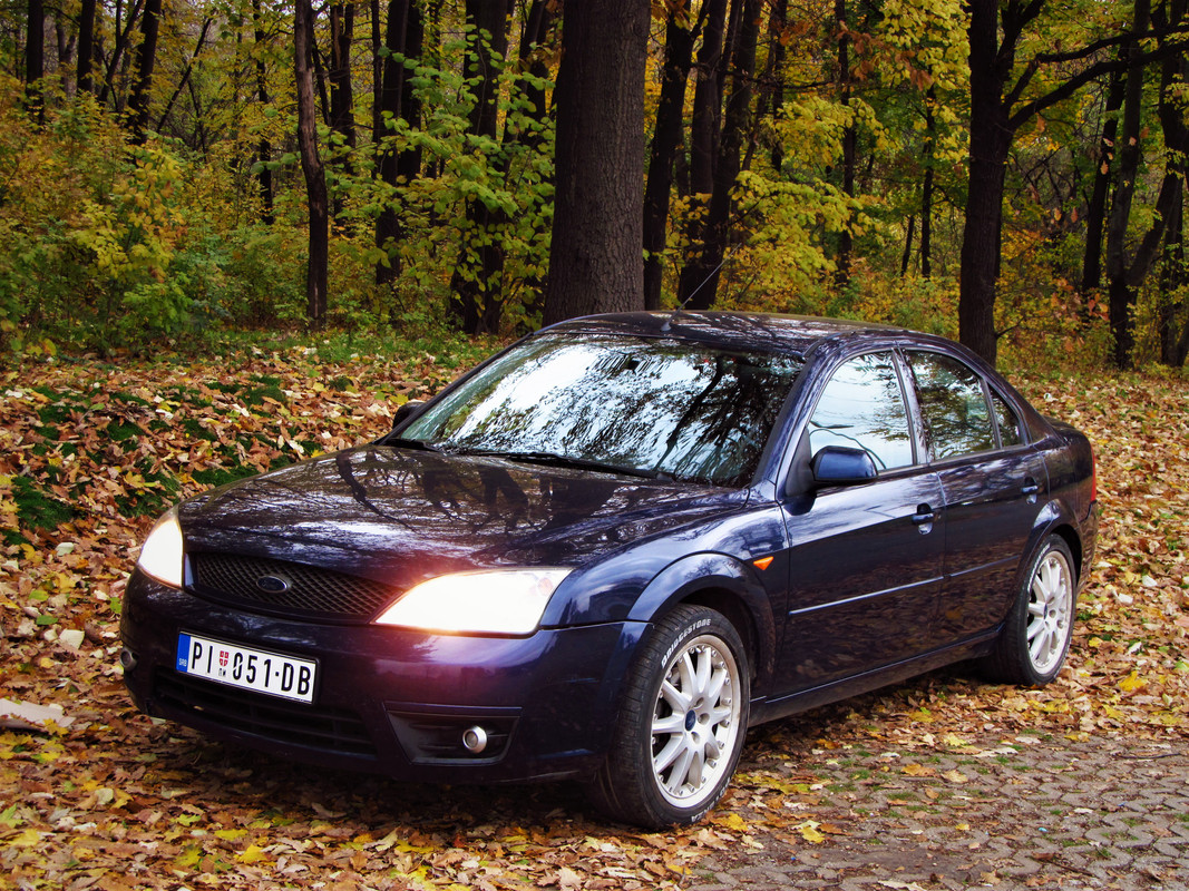 201121 IMG_4903 Абадон - Јесен Јајинци