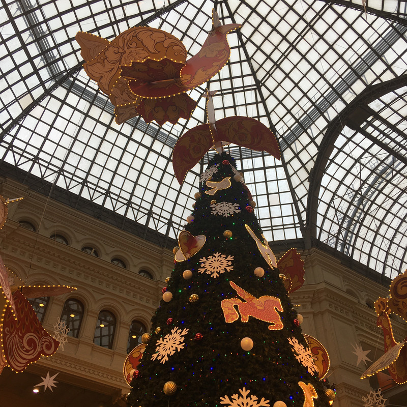 Ладья и Предновогодняя Москва 2025 037