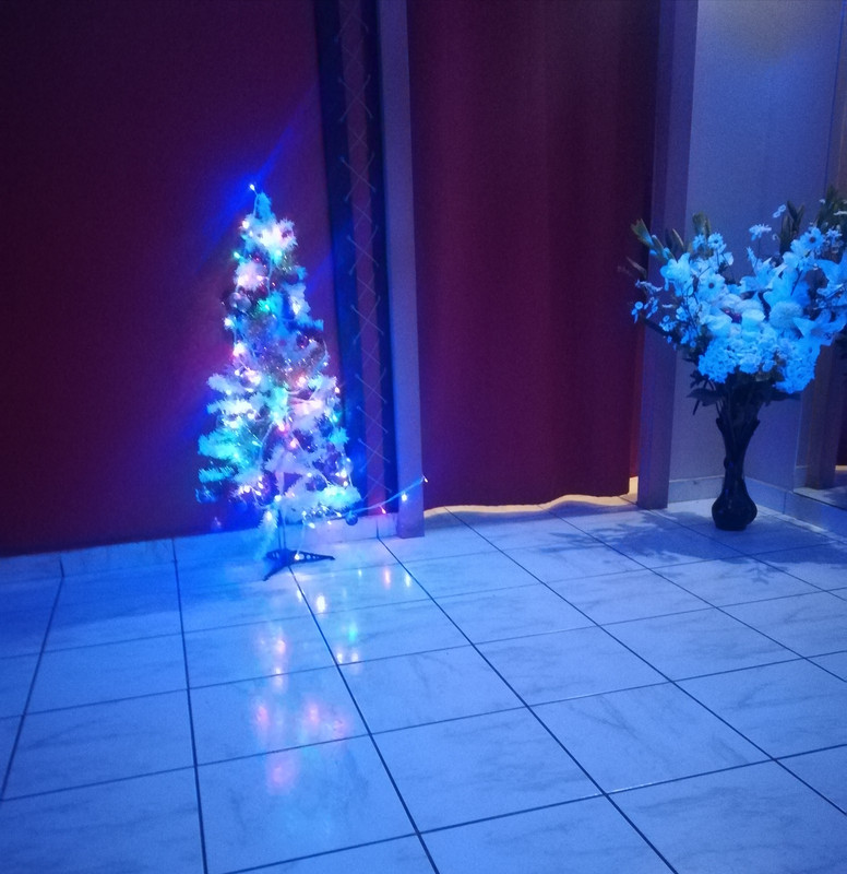 IMG-20181209-114938.jpg