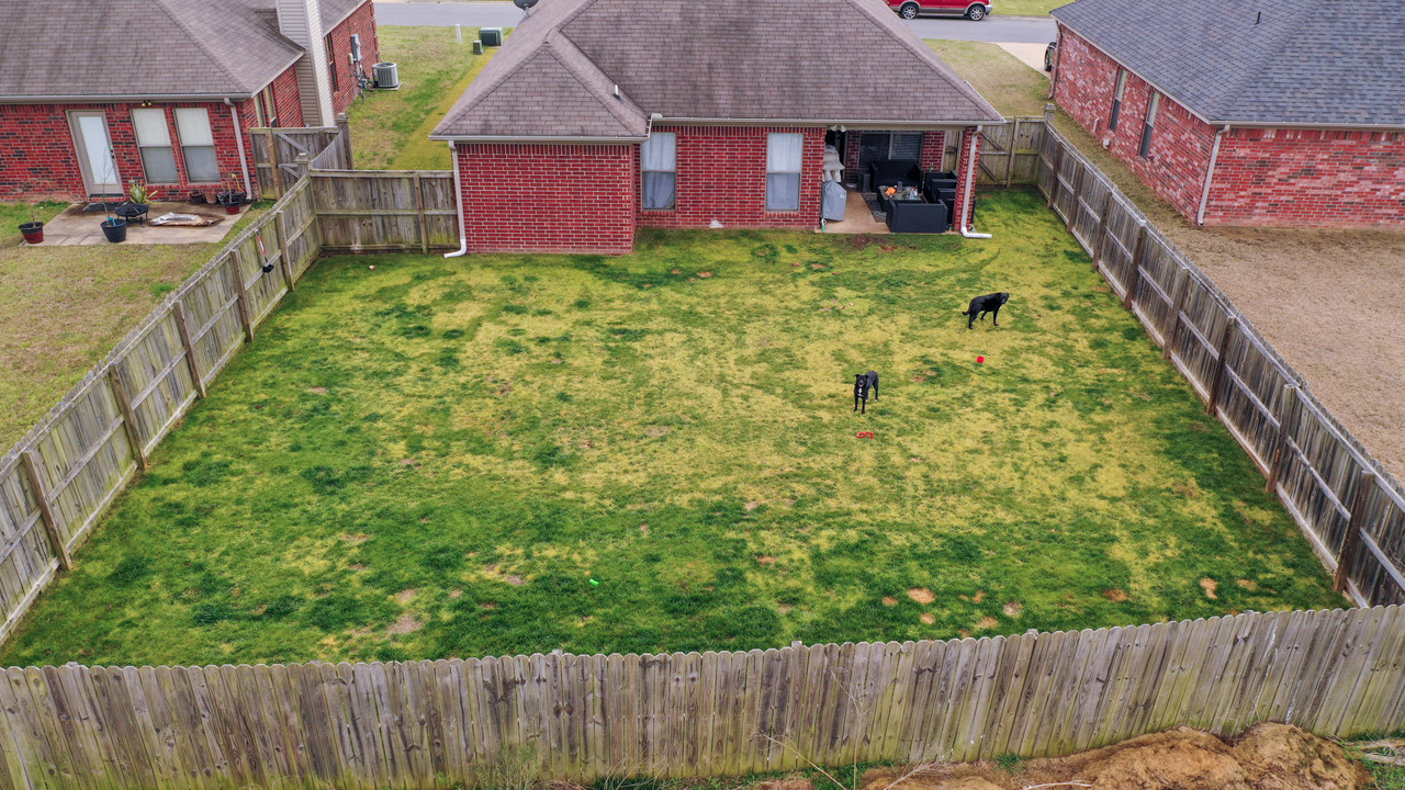 D4AD2B24-5EDA-48BF-914C-FB1A6FA61007