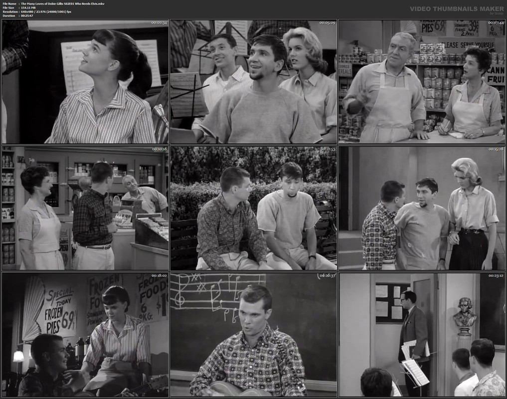 The Many Loves of Dobie Gillis S02E01 Who Needs Elvis.mkv