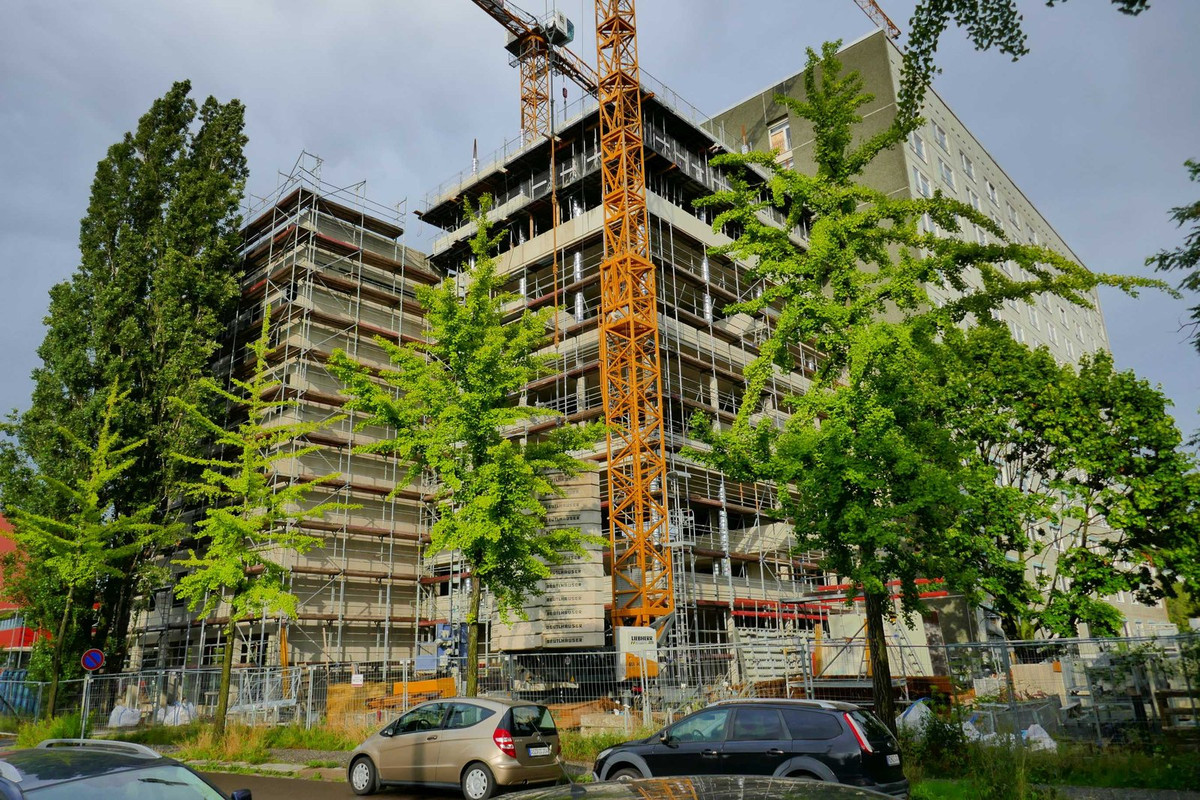 Bild: https://i.postimg.cc/Xv7K1jmr/P1290951.jpg