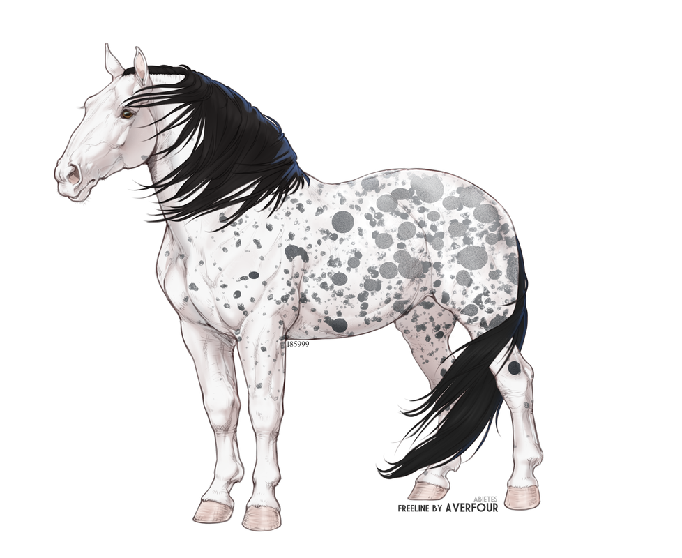 Bjoern.png
