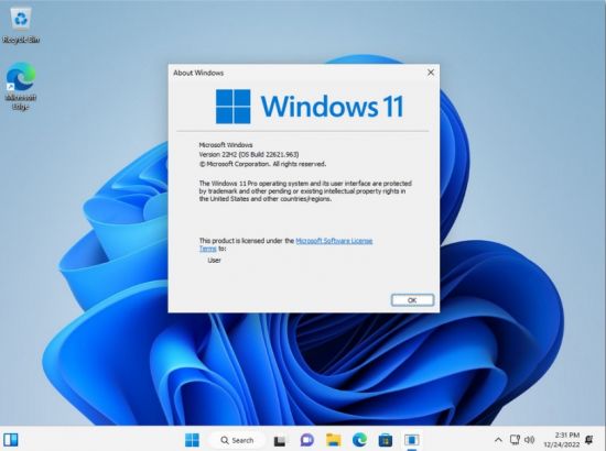 Windows 11 Version 22H2 Build 226621.963 Pro 3in1 OEM ESD MULTi-4 December 2022 No TPM or Secure Boot Required
