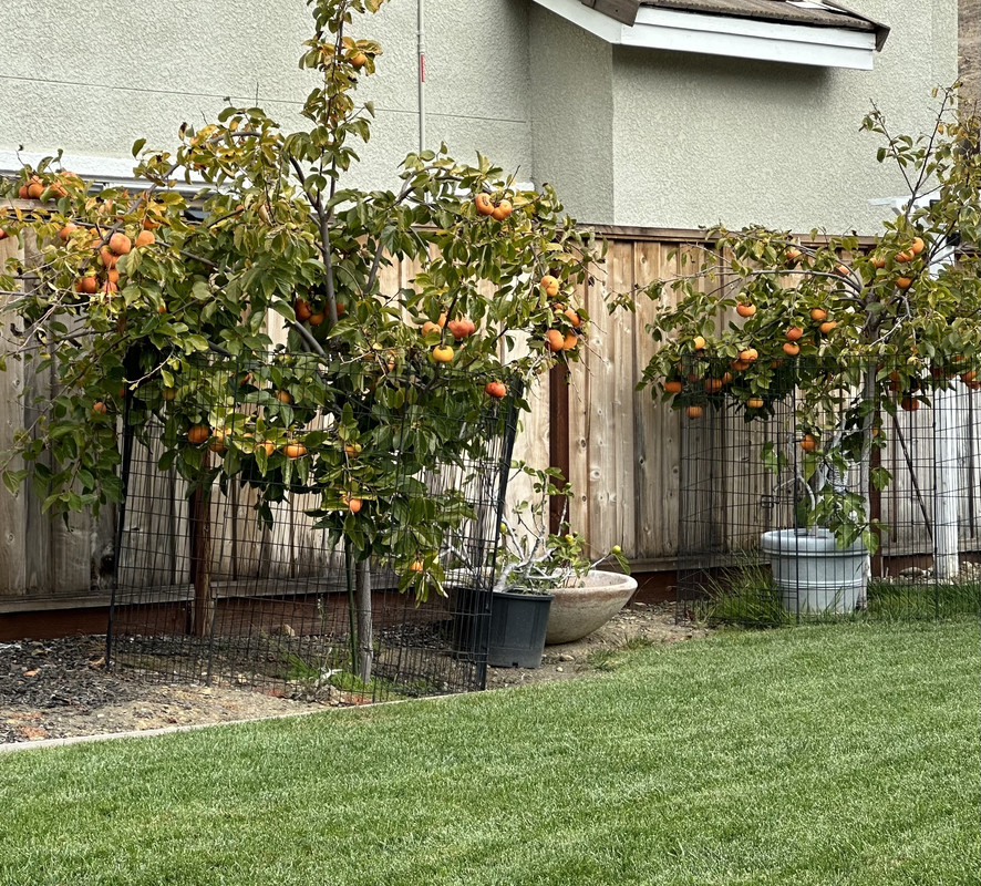 90272547-422D-4267-9629-EF98E1A16B8A