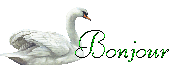 MERCREDI 10 AVRIL 2019 SMILEY-BONJOUR-MINI-CYGNE