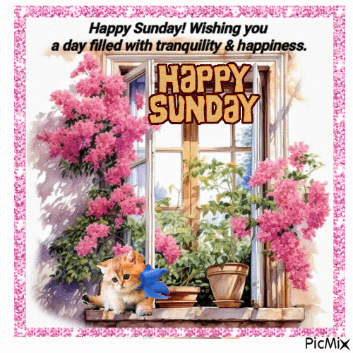 sunday