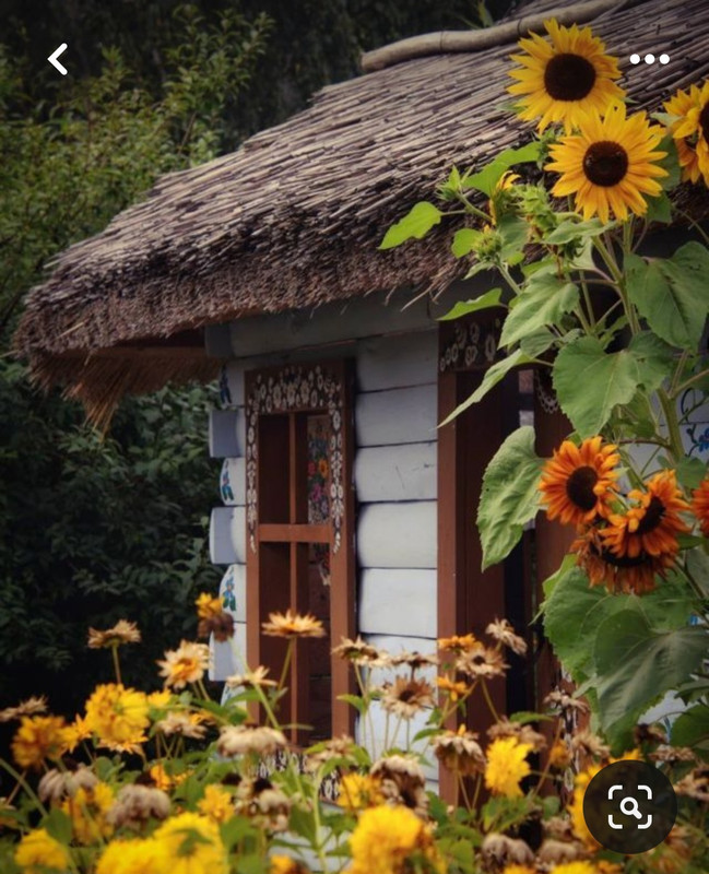 Screenshot_20240331_154704_Pinterest