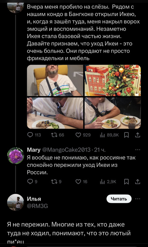 https://i.postimg.cc/Xv7v1pJR/image.jpg