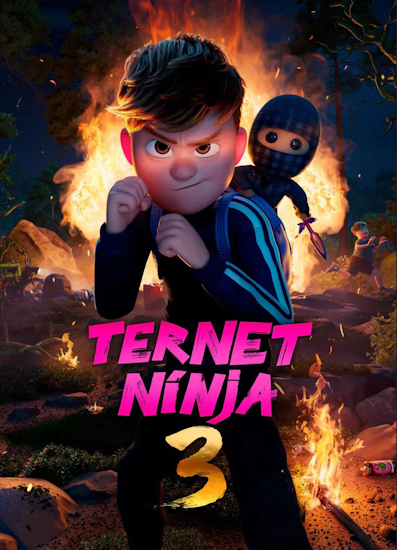 Der-karierte-Ninja-3.jpg
