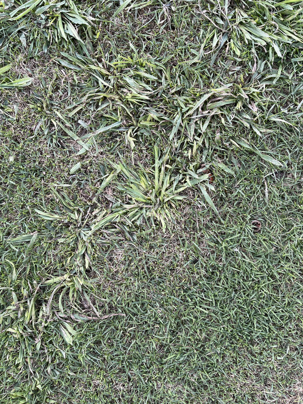 E9B46126-DE90-4258-991D-8668D37CCE95