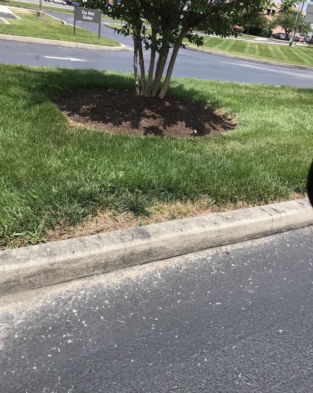 CC4619E5-FB30-46E5-A401-D3A0EA11EDA9