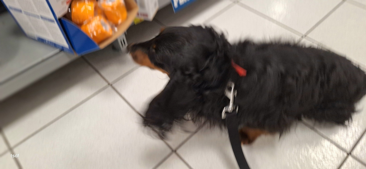 [Image: 20250317-160515.jpg]