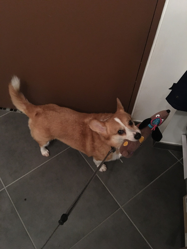 [Image: 6-C2-ECF94-9288-4-D97-AF23-136-E280-DE601.jpg]