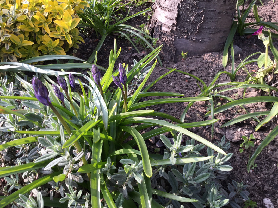 E7C4D215-9799-45E9-819B-E394A50CF82F