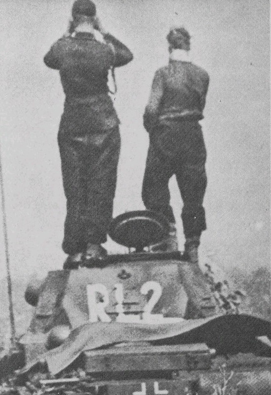 195059 630 023648