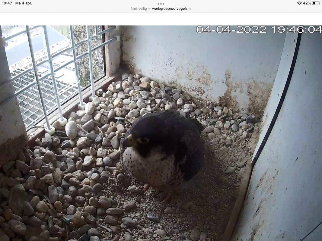 546CBB0C-AD59-4A41-96F1-F6E398BB1EB8