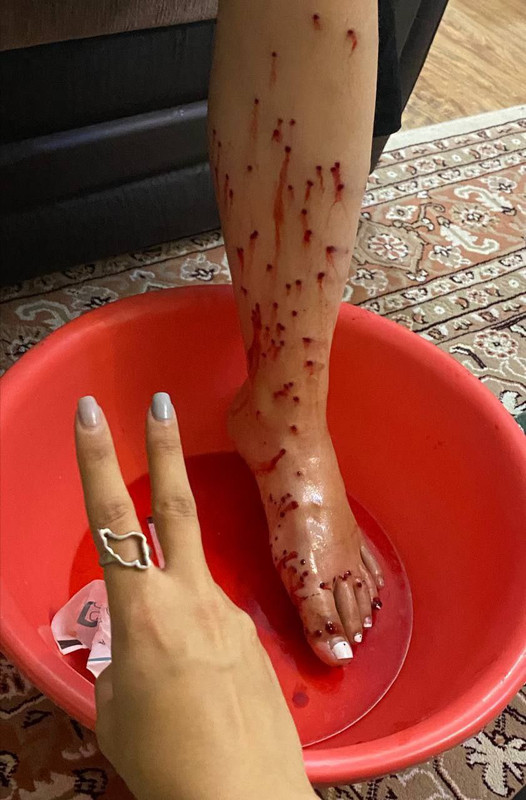 ۲۰۲۲۱۱۲۳_۲۲۳۱۲۷