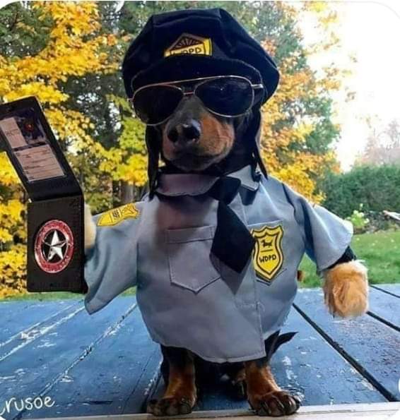 [Image: FB-IMG-1591809831888.jpg]