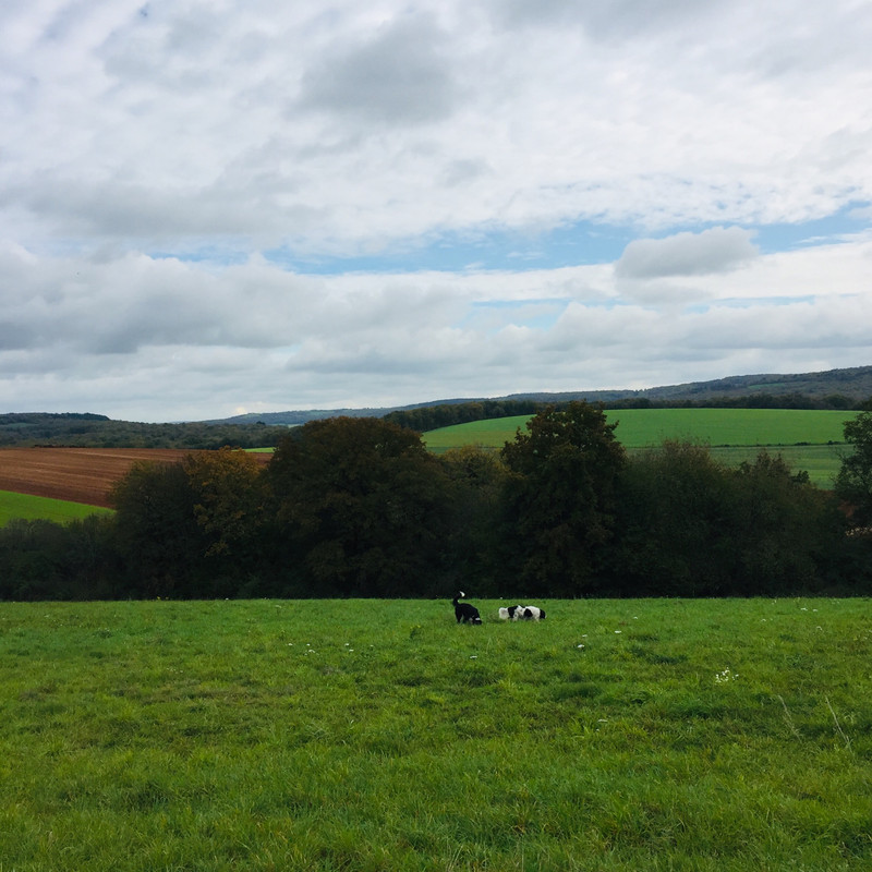 D722E791-DDBC-4844-97CE-B40325BD1933