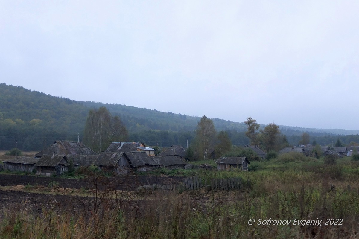 В поисках медведей. Фоторепортаж Евгения Софронова из Инзенского района  Улпресса - все новости Ульяновска