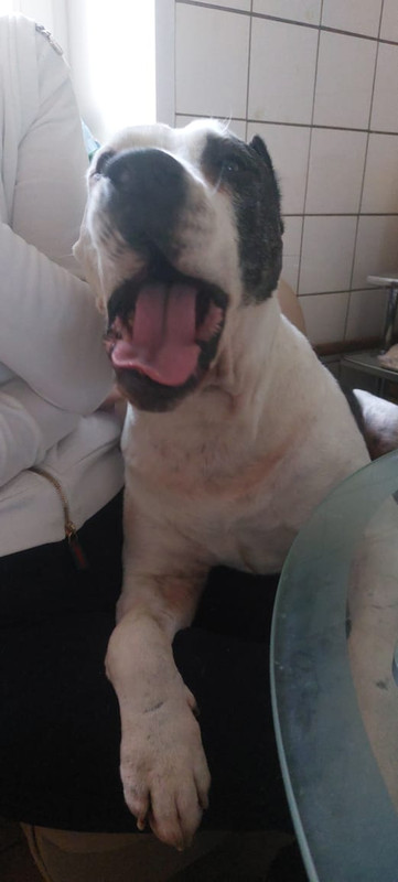 95B0D0C0-3988-4A21-92DE-55B6DA6D2D8D