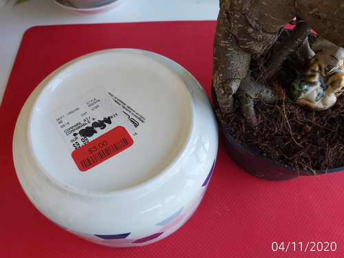 [Image: IMG-20201104-102025.jpg]