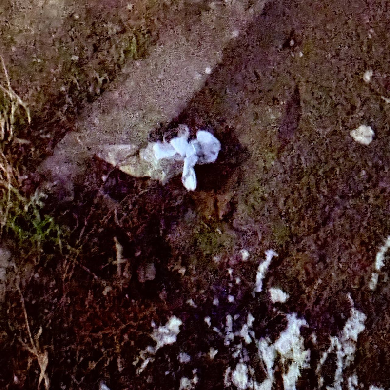 IMG 20251025 191722 826