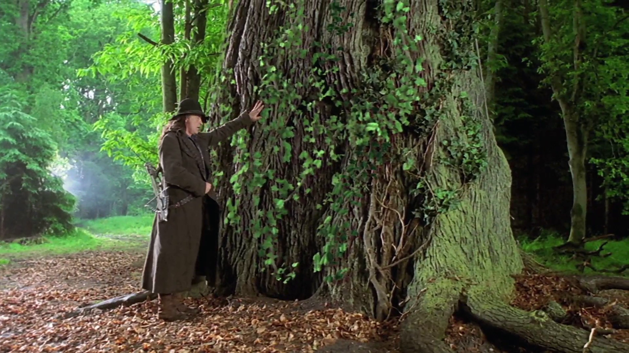 vlcsnap 2026 02 07 14h34m05s611