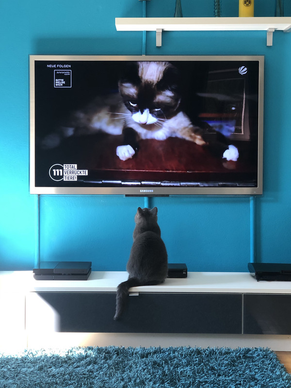 C808CF44-E473-41A2-ABEE-951C56D55831