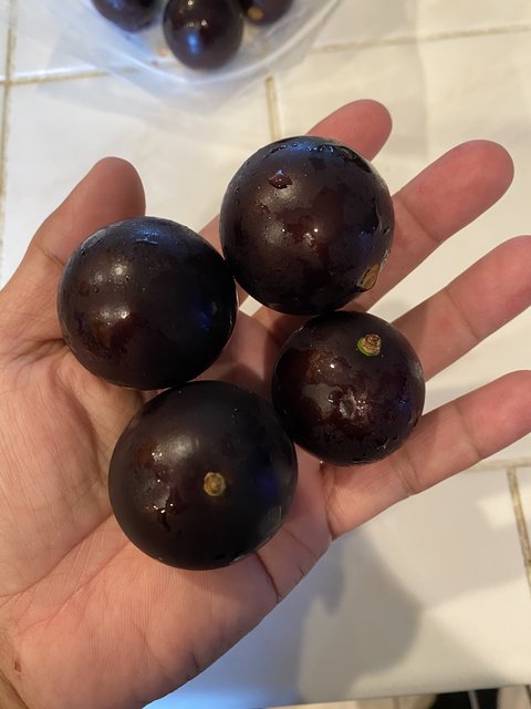 6247EB60-0372-4ACC-A733-23C56670D310