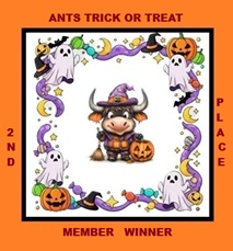 ants m 2nd