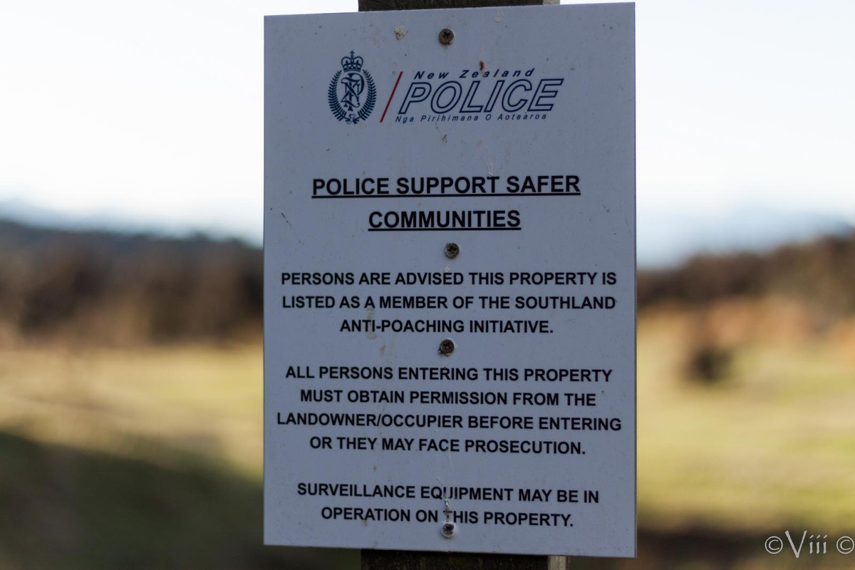 Día 13. Doubtful Sound & Fangorn. Noche en Queenstown - Nueva Zelanda/Islas Cook - Viaje de novios a la Tierra Media (8)