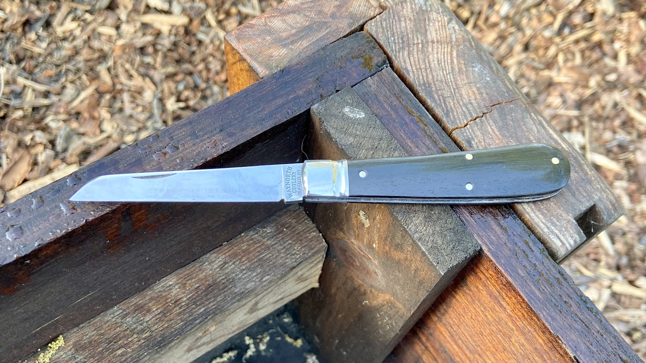 58A5A2F0-953F-48DF-9D78-570692976001_1_201_a