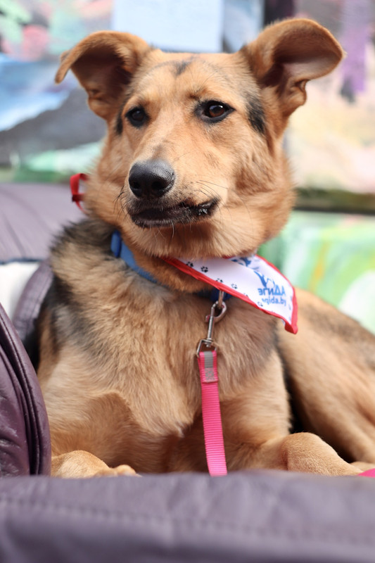 0E39C0E1-FD83-4DA8-A3C3-DDE807F2E7EA