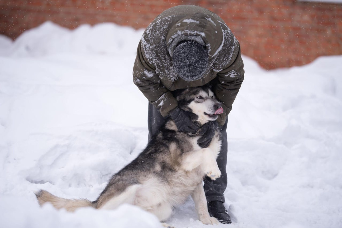 WhatsApp Image 2024-02-13 at 13.14.07 (1)