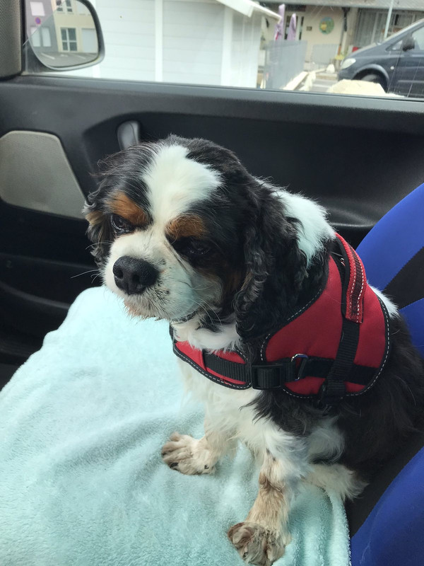 E34B8449-8697-417E-9F10-88D3ED589977